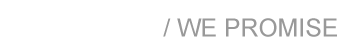 我们承诺